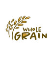 agriculture wheat logo template icon design vector image vector image