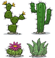 cactus collection vector image vector image