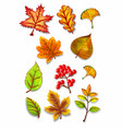 autumn watercolor leaves set vector image