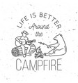 life is better around the campfire vector image