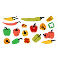 set of pepper sketch red hot chili peppers vector image