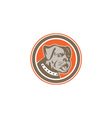 bulldog dog mongrel head mascot circle vector image