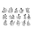 hand draw floral and botanical elements vector image