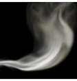 blown smoke vector image vector image