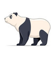 giant panda animal standing on a white background vector image
