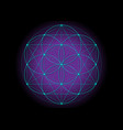 flower of life seed symbol sacred geometry vector image vector image