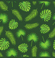 monstera and palm tree leaves branches pattern vector image vector image