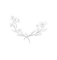 hand drawn orchid flower arrangement floral vector image vector image