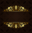 ornate gold border vector image vector image