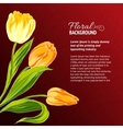 yellow tulips and text place vector image
