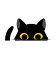 black cute cat is looking straight on white vector image vector image