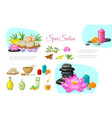 flat spa salon concept vector image vector image