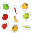 peppers and tomatoes vector image