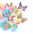 watercolor butterfly vector image vector image