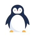 cute penguin icon vector image