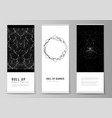 layout roll up banner vector image