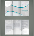 silver brochure layout design business three fold vector image vector image