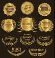 premium quality golden laurel wreath and shield vector image