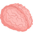 brain isometric vector image