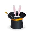 magic hat and rabbit vector image