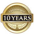 ten years experience gold vector image