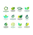 green leaf eco design friendly nature elegance vector image