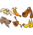cartoon happy dogs heads set vector image