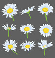 set of drawing daisy flowers vector image
