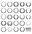 laurel wreaths vector image