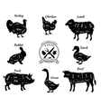 set schematic vew of animals for butcher shop vector image