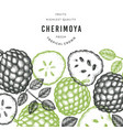 hand drawn sketch style cherimoya banner organic vector image vector image