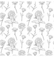 seamless pattern with calendula flowers vector image