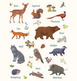 set animals vector image