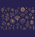 set of doodle hand drawn flowers florals vector image vector image