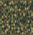 abstract green beige and tan camo background vector image vector image