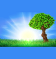 sunny field tree background vector image