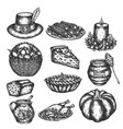 thanksgiving doodles set of symbols - turkey vector image