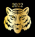 2022 chinese new year gold tiger face graphic vector image