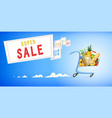 shopping cart with foodstuff vector image