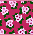 hibiscus syriacus - rose of sharon on pink vector image