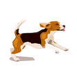 cute cool running beagle puppy dog vector image