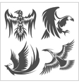 flying eagle peacock and pheasant logo vector image