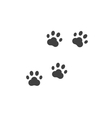 paw prints dog footprint isolated on white vector image