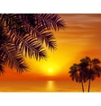 summer night palm trees on the background vector image