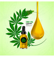 cannabis benefits vector image
