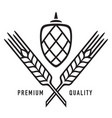 hops barley wheat or rye graphic icons vector image
