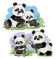 panda bear characters cartoon vector image vector image