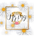 chamomile flower spring background with gold frame vector image