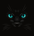 3d realistic red cats eye of a black cat vector image