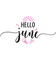 hello june - summer lettering vector image